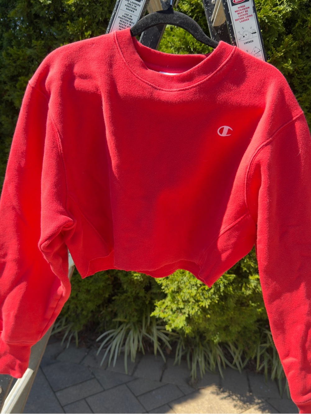 Champion Cropped Crewneck Sweatshirt